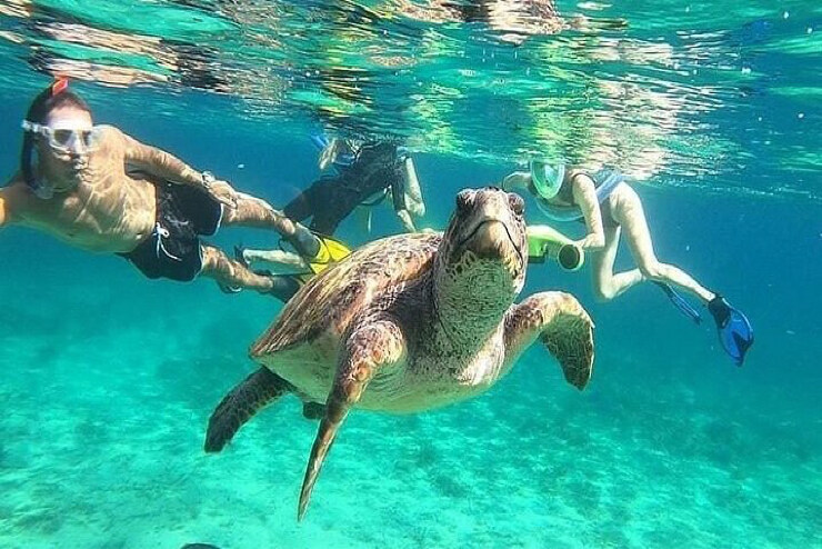Turtle Beach